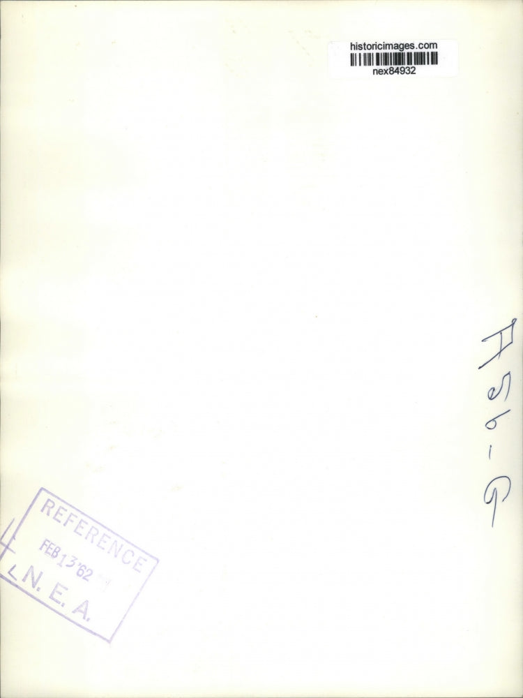 1962 Press Photo Chicago a Gannett bird guarding its nest