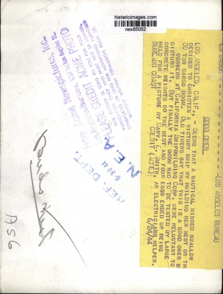 1944 Press Photo LA Calif Mary E Martin with a birds nest & eggs