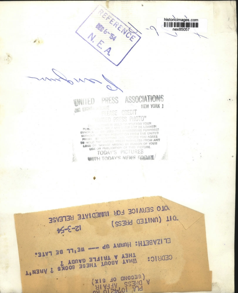 1954 Press Photo A pair of penquins at a pool in zoo cage - nex85057