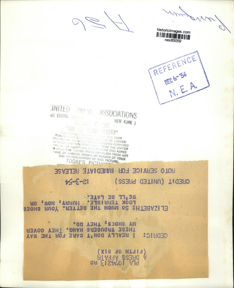 1954 Press Photo A pair of penquins grooming by a pool in zoo cage - nex85059