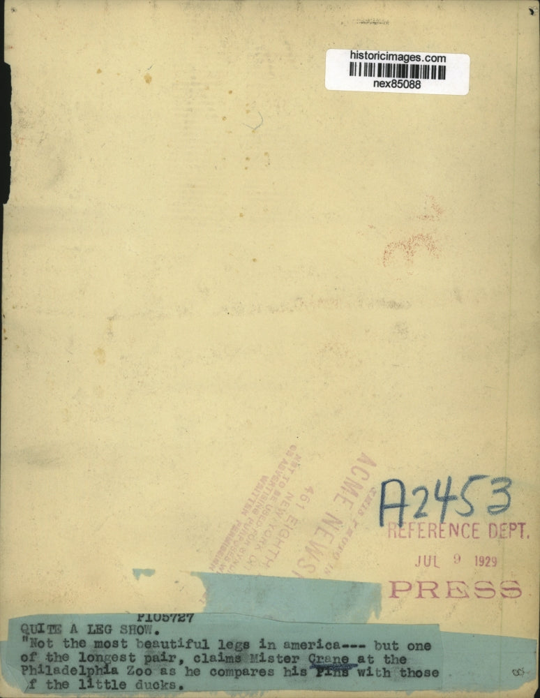 1929 Press Photo A Crane & pin ducks at Philadelphia zoo - nex85088