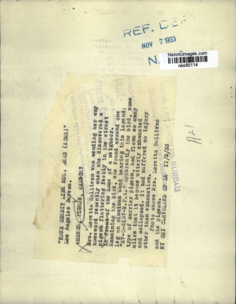 1933 Press Photo Mrs Loretta Sullivan & a pigeon she found in La Calif