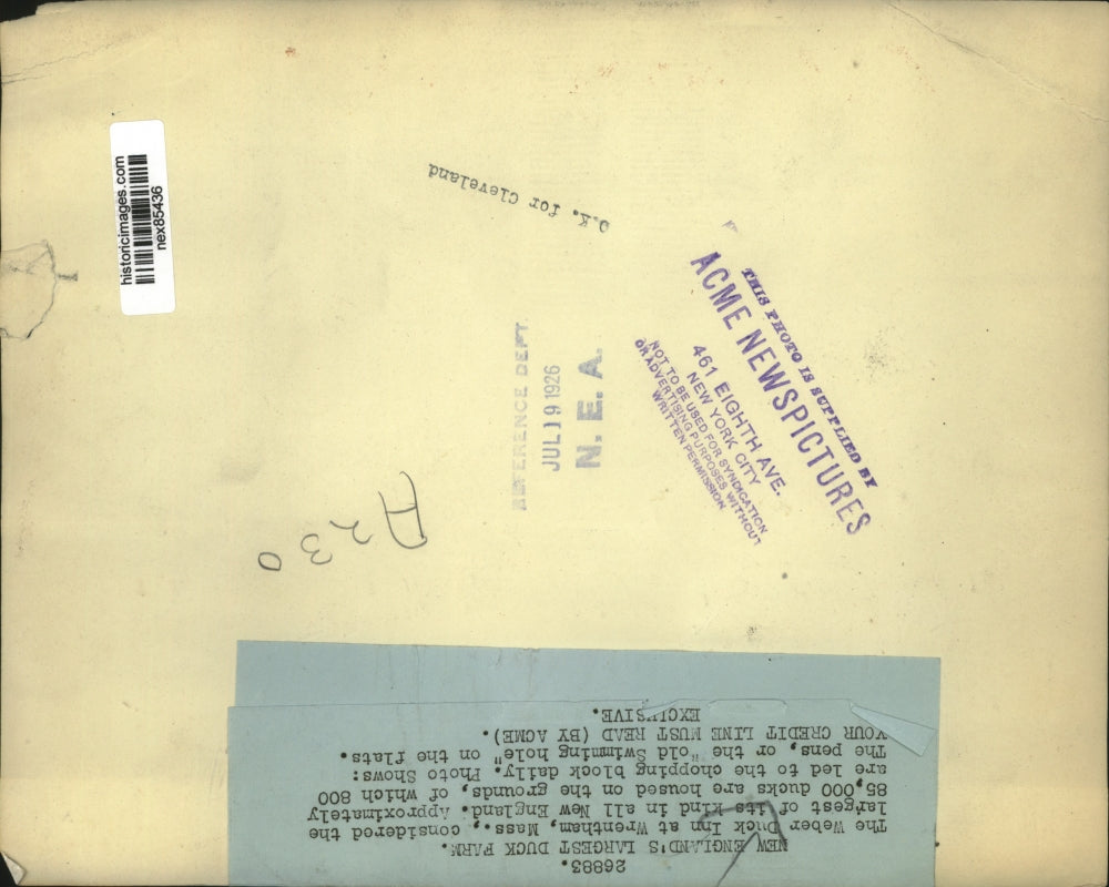 1926 Press Photo Weberr Duck Inn at Wrentham Mass flock of ducks swimming