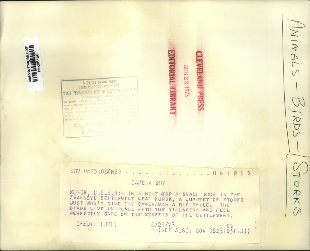 1973 Press Photo Kursk USSR 4 storks in a nest at Zvanndye village - nex85456