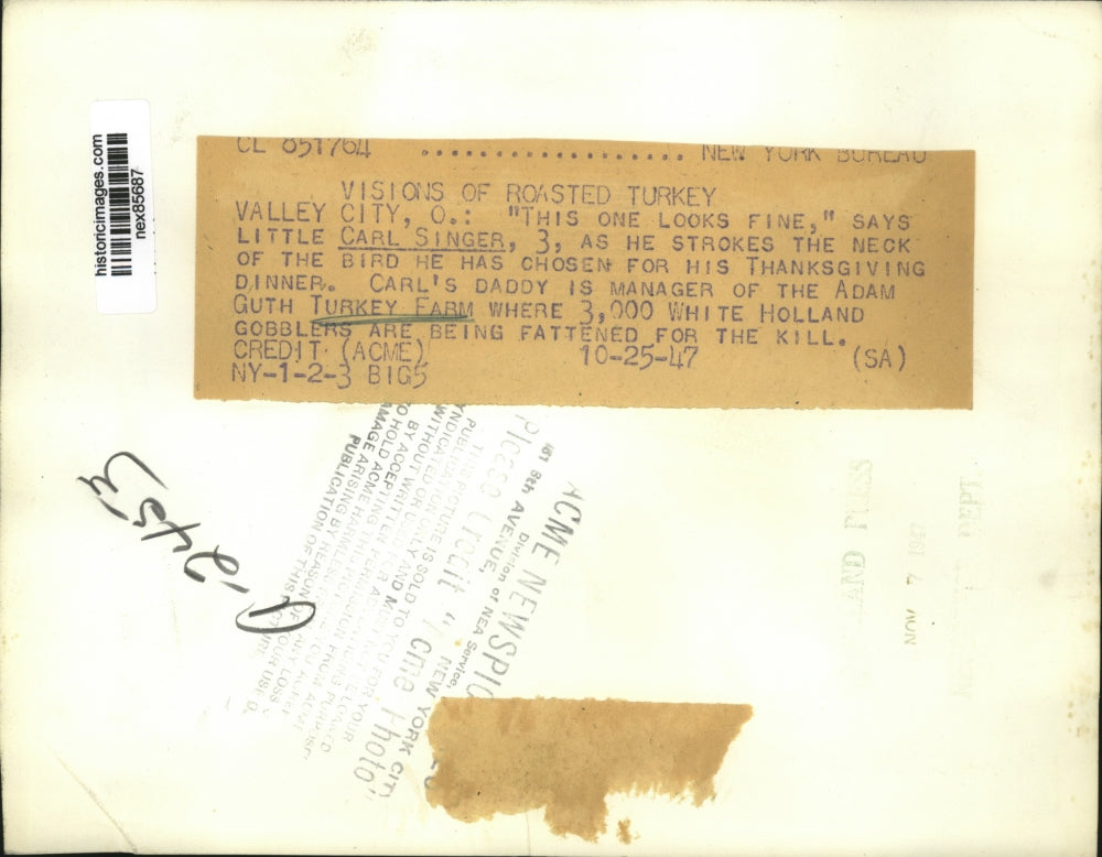 1947 Press Photo Valley City Ohio Carl Singer at Adam Guth turkey farm