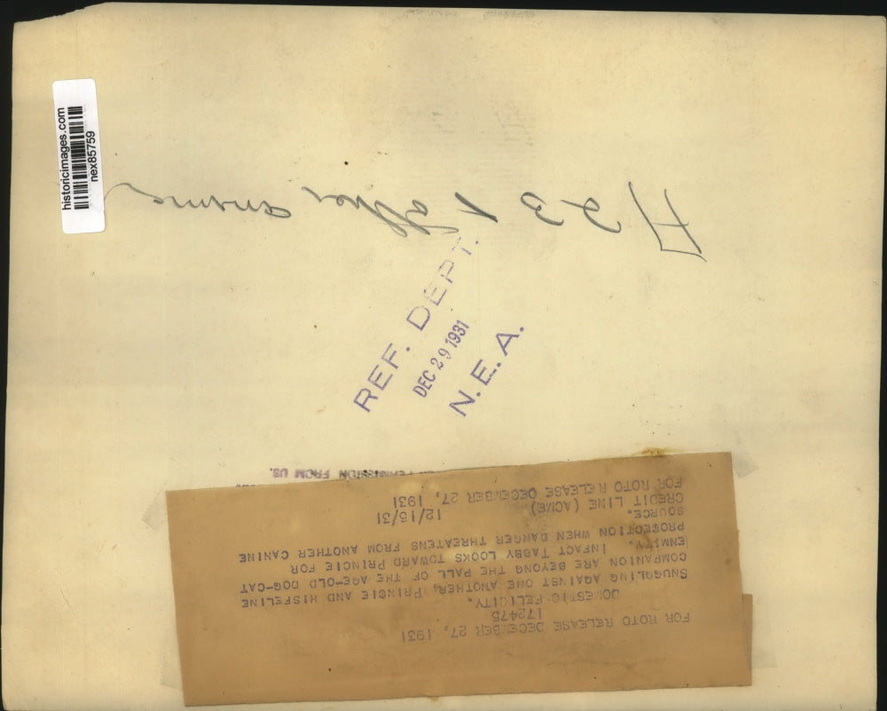 1931 Press Photo Princie the dog & his feline companion