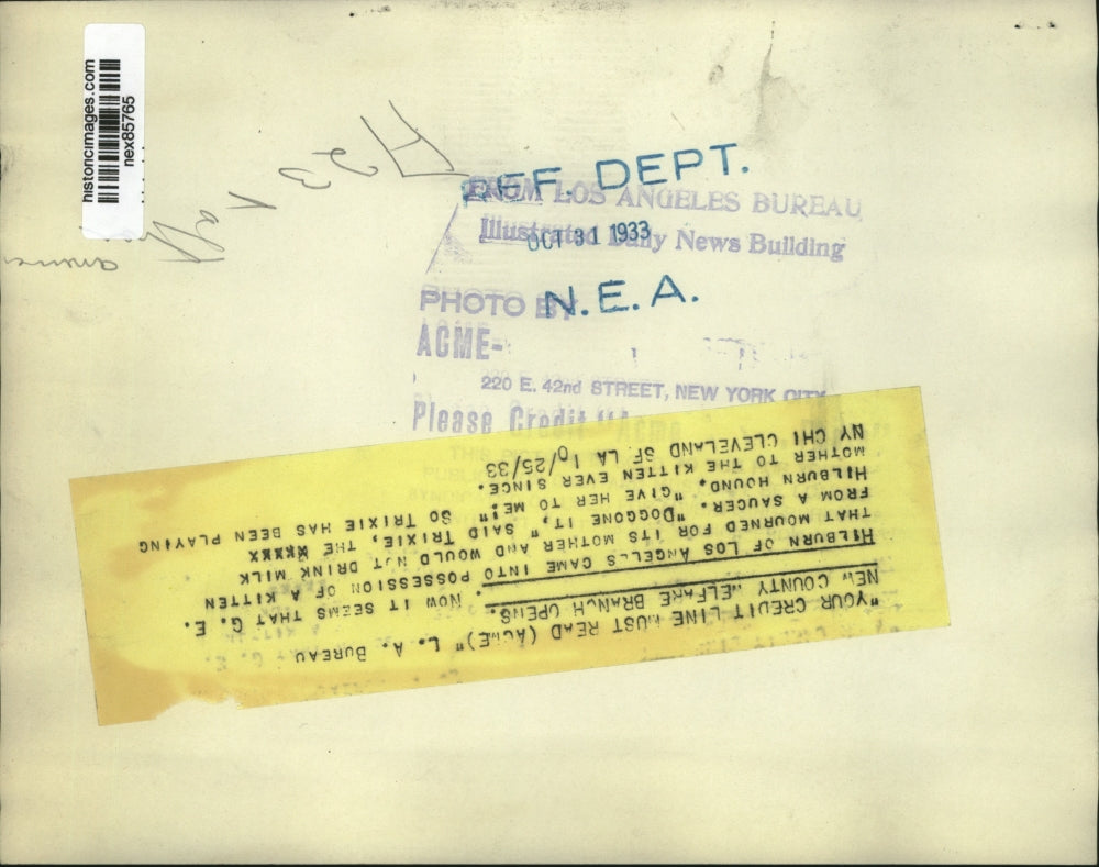 1933 Press Photo LA Calif GE Hilburn's dog & kitten it has adopted - nex85765