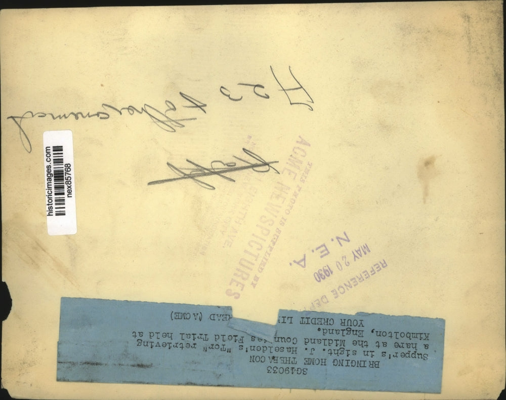 1930 Press Photo J Haselden's Ter retrieving a hare at Field trials in England