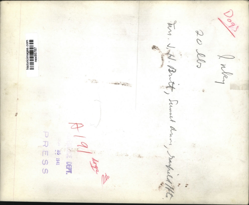 1941 Press Photo Mrs JH Britt;s dog with a dead mouse in Garfield Heights Ohio