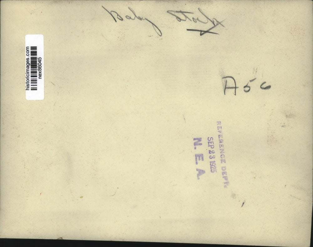 1925 Press Photo A baby stock as it hatches from eggshell - nex86045