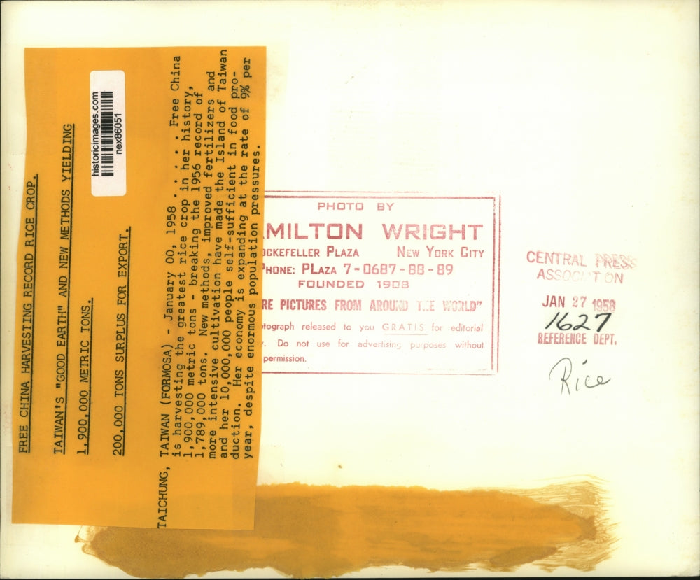 1958 Press Photo Taiwan Formosa rice crop being raked & dried - nex86051