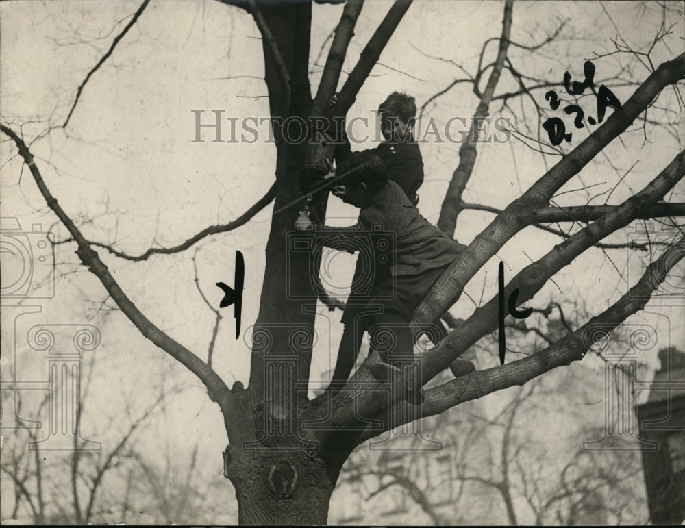 1921 Press Photo Blue Ribbon bir houses by kids installed by pupils