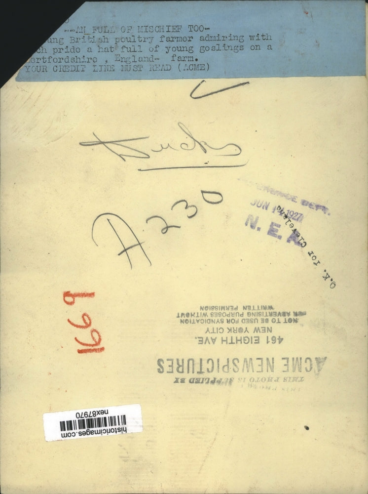 1927 Press Photo Young British Poultry Farmer with Hat Full of Goslings