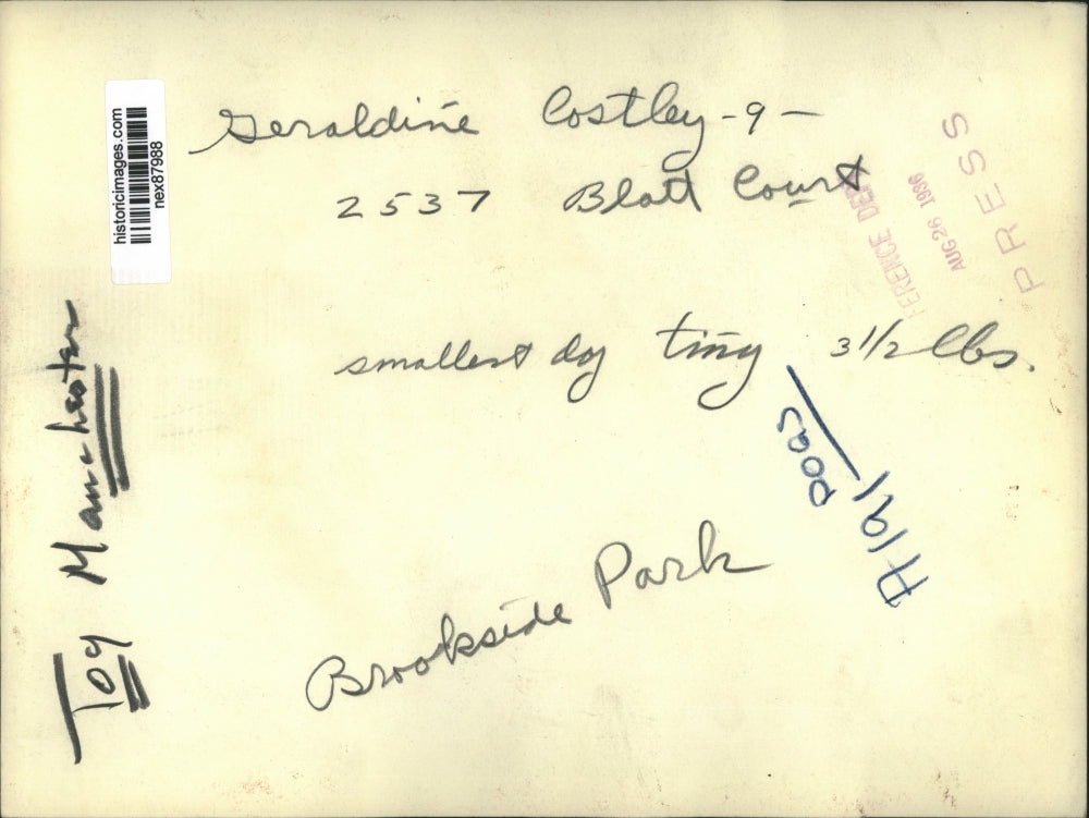 1936 Press Photo Geraldine Costley with Toy Manchester Dog