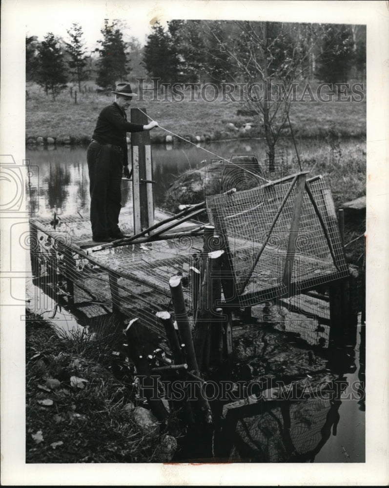 1941 Press Photo M.D. Hayden of S Livingstone Mather Estate with Beavers