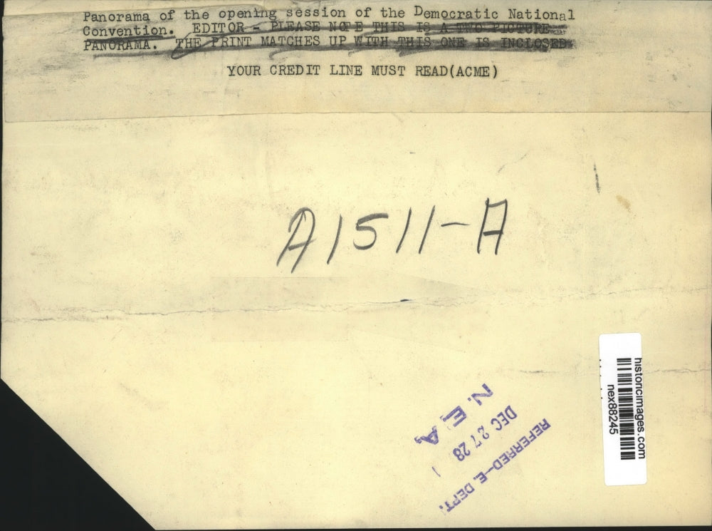 1928 Press Photo Opening Session of Democratic National Convention