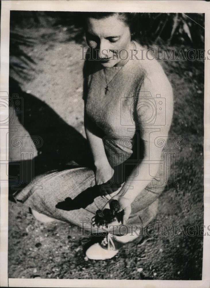 1939 Press Photo Diamond Back Terrapins at US Fisheries Laboratory in NC