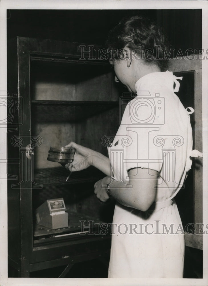 Load image into Gallery viewer, 1937 Press Photo Charlotte Epple Placing Bacteria Cultures in Incubator
