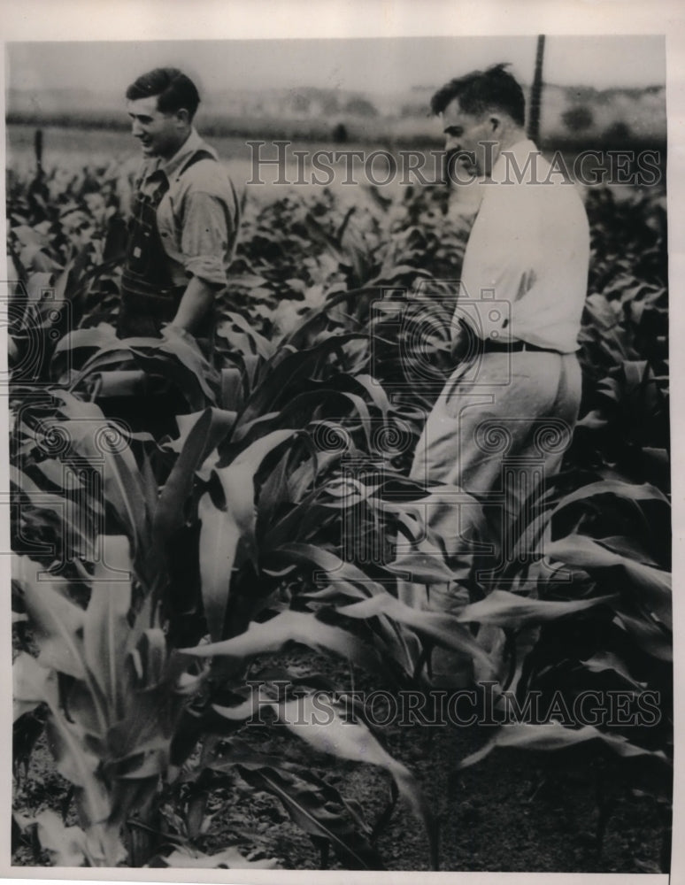 1940 Press Photo Secretary of Agriculture Henry A Wallace & R F Baker Corn Field