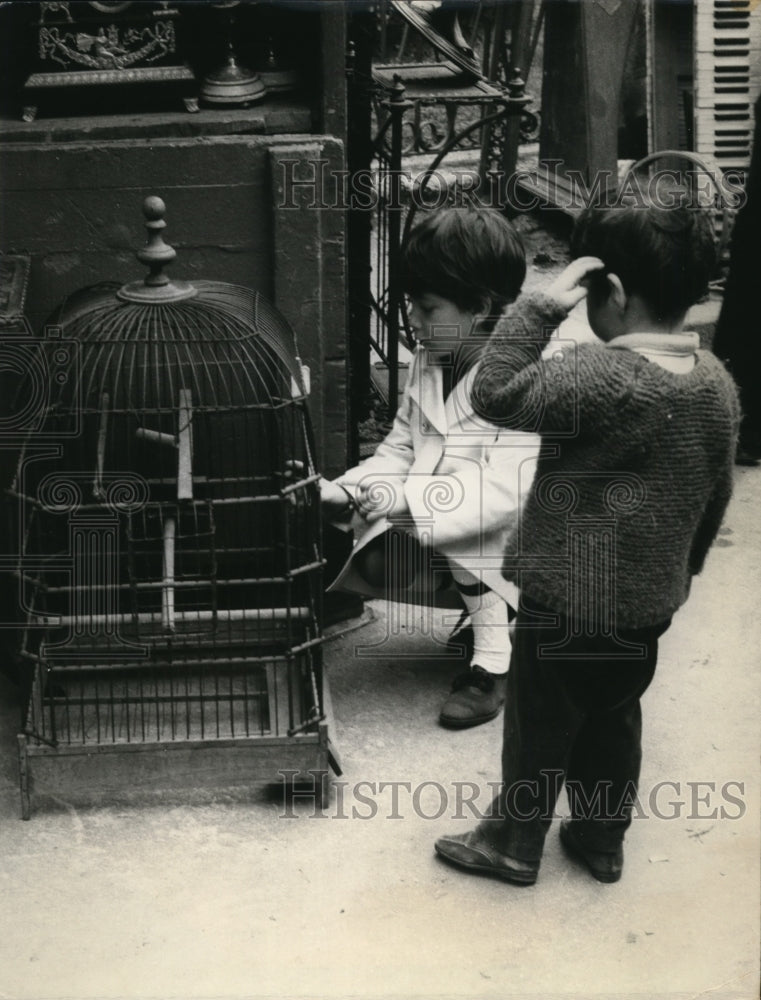 Load image into Gallery viewer, 1966 Press Photo Parisian Tots Look at Empty Bird Cage Wondering Where Bird Is
