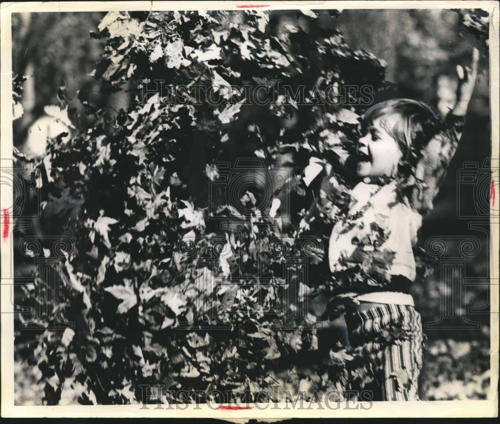 Press Photo Adam Knotts Age 3 Playing in Leaves