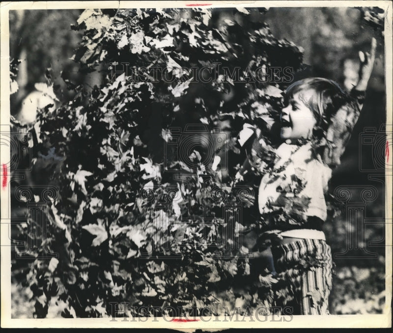 Load image into Gallery viewer, Press Photo Adam Knotts Age 3 Playing in Leaves
