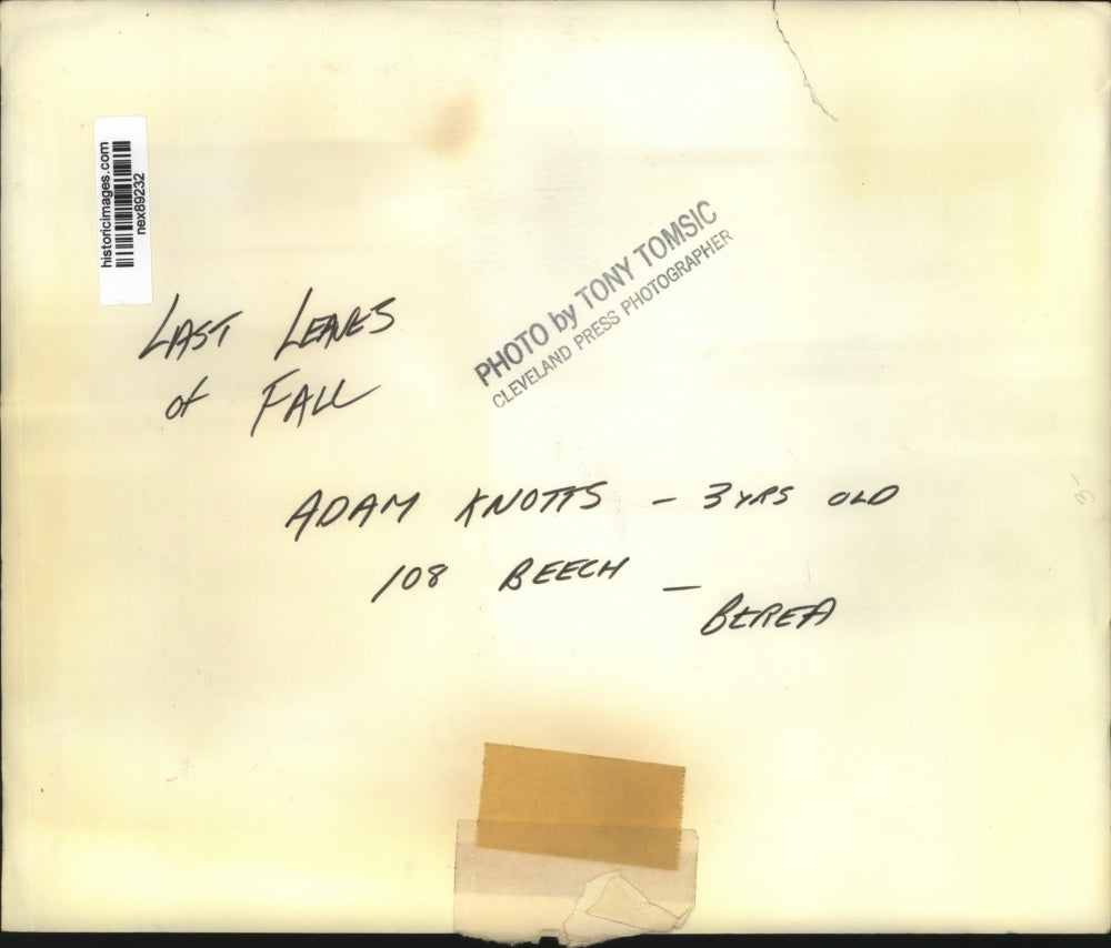 Press Photo Adam Knotts Age 3 Playing in Leaves