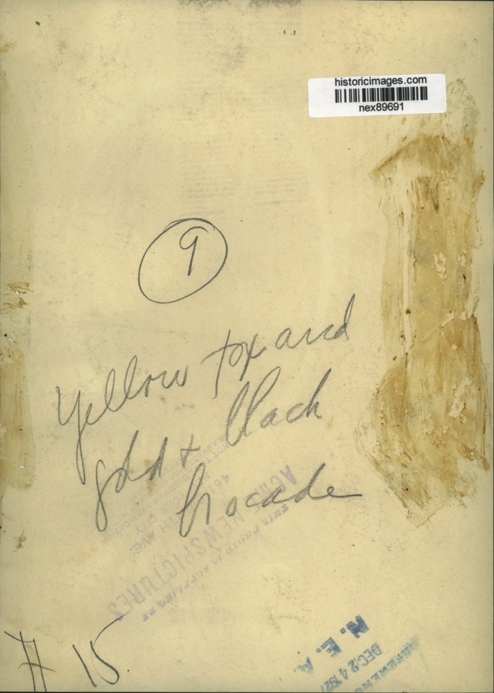 1927 Press Photo Yellow Fox Collar and Gold and Black Brocade Dress