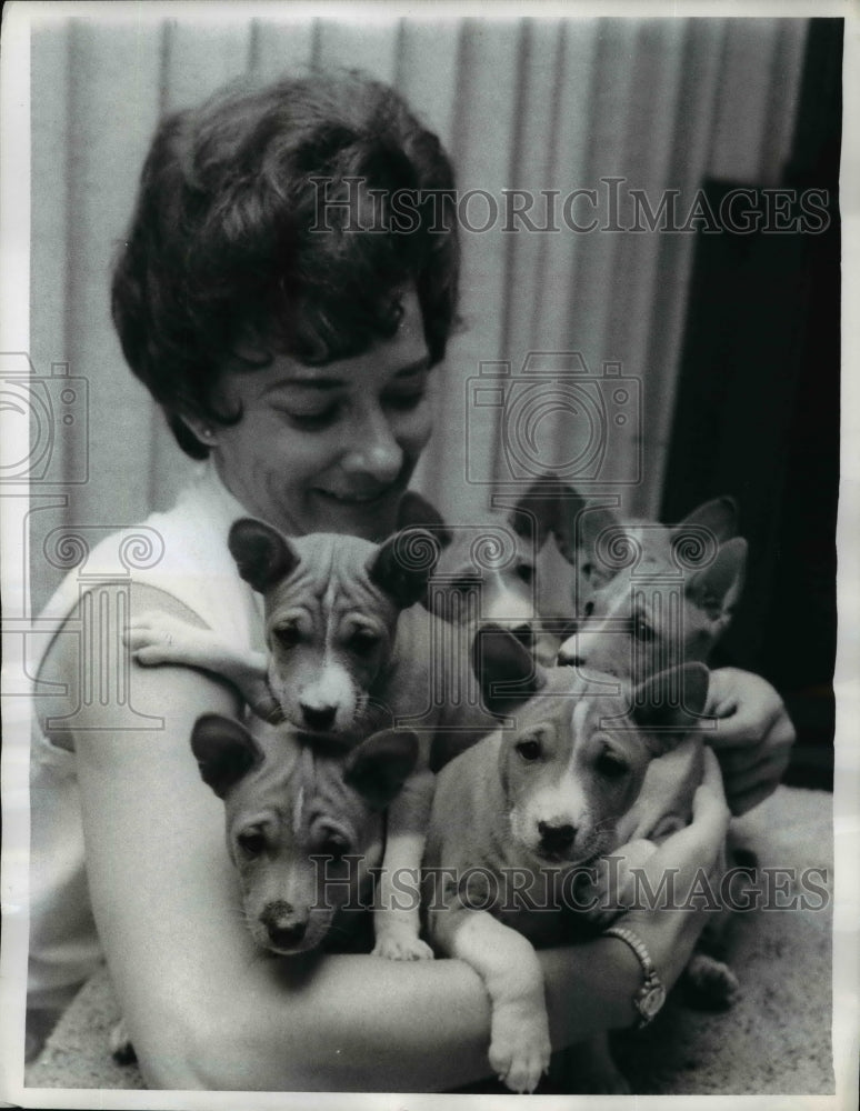 Load image into Gallery viewer, 1969 Press Photo Carol Springer with Sasenji Puppies Date Back to Egypt

