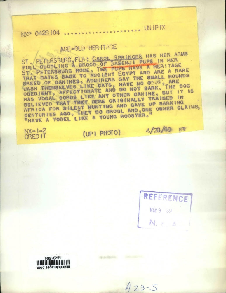 1969 Press Photo Carol Springer with Sasenji Puppies Date Back to Egypt