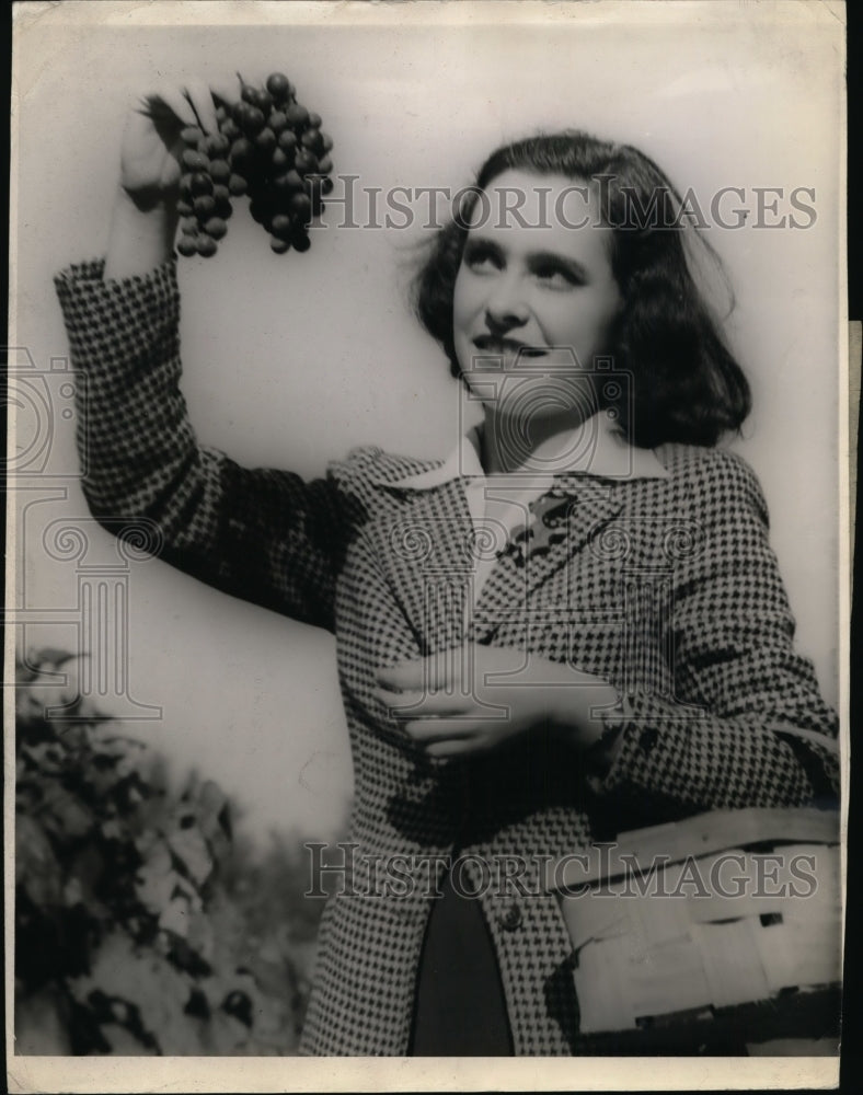 1944 Press Photo Westminster College Student Betty Fair Helps Harvest Grapes