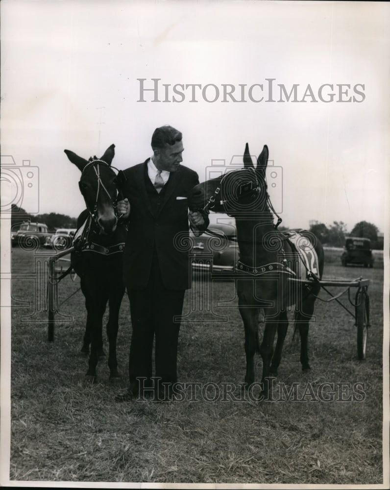 Load image into Gallery viewer, 1955 Press Photo Governor Robert Meyner of New Jersey &amp; Prize Racing Mules
