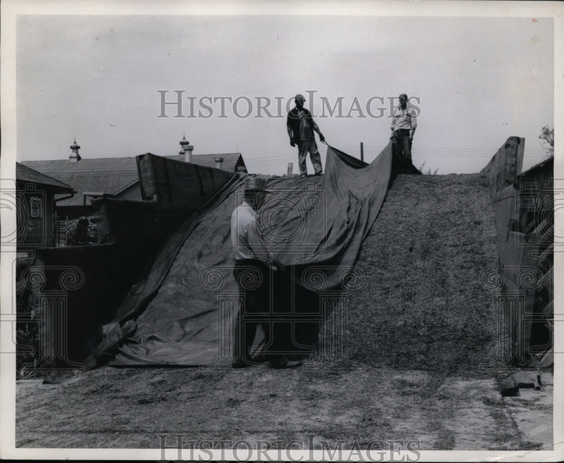 Load image into Gallery viewer, 1958 Press Photo US Department of Agricultures New Plastic Vinyl Film
