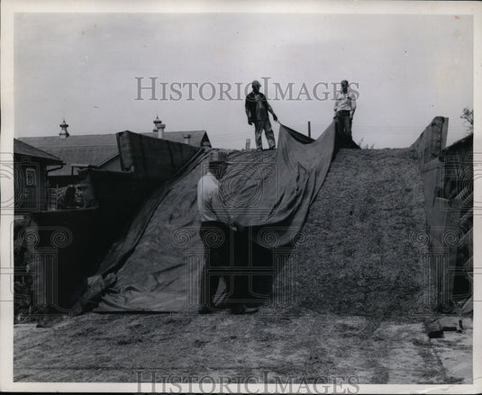 1958 Press Photo US Department of Agricultures New Plastic Vinyl Film