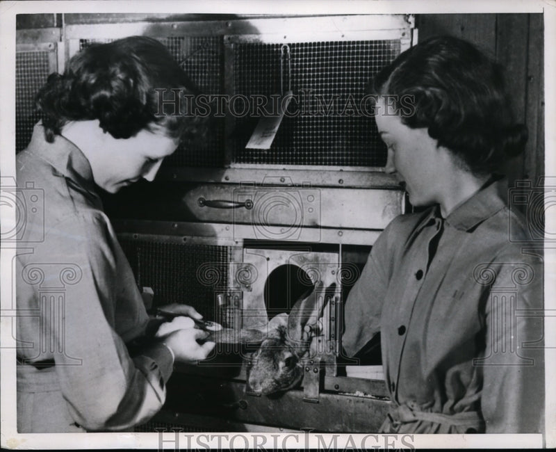 Load image into Gallery viewer, 1950 Press Photo Dorothy Hoy &amp; Mary Stanng Invent Device to Hold Animal Still
