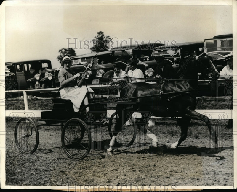 Load image into Gallery viewer, 1931 Press Photo Helen Hyland Drives Falinge Princess in Huntington Horse Show

