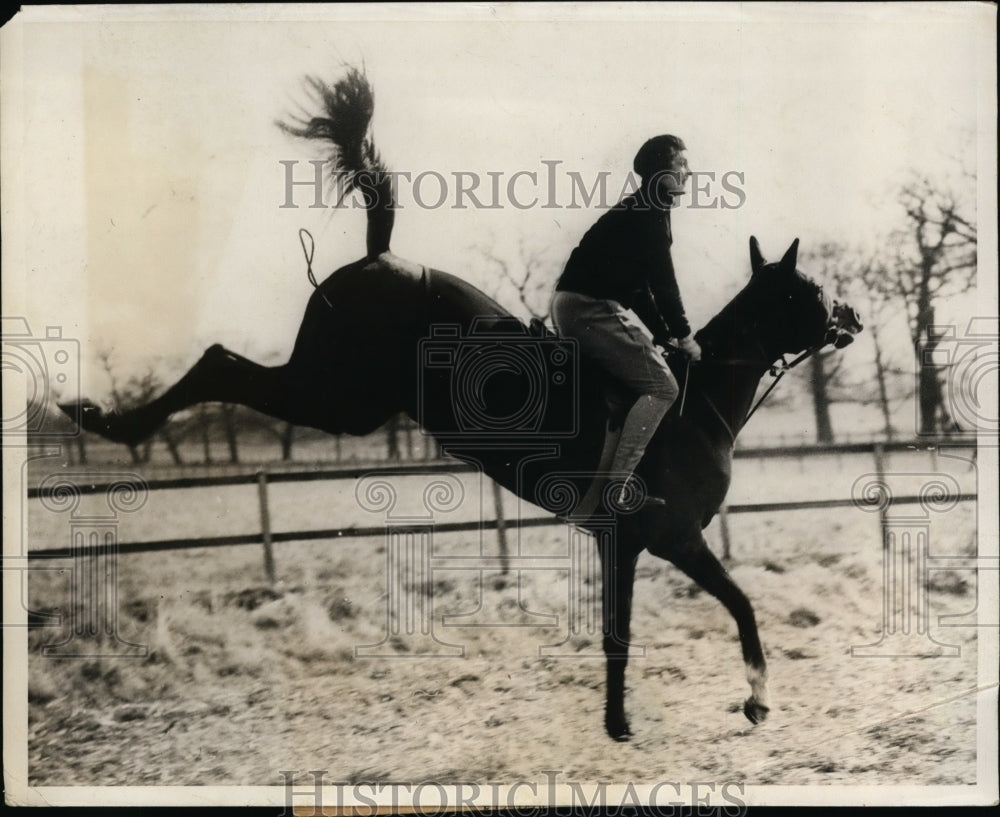1931 Press Photo Sybil Hare Training Bunch Has Good Chance to Win Lincolnshire