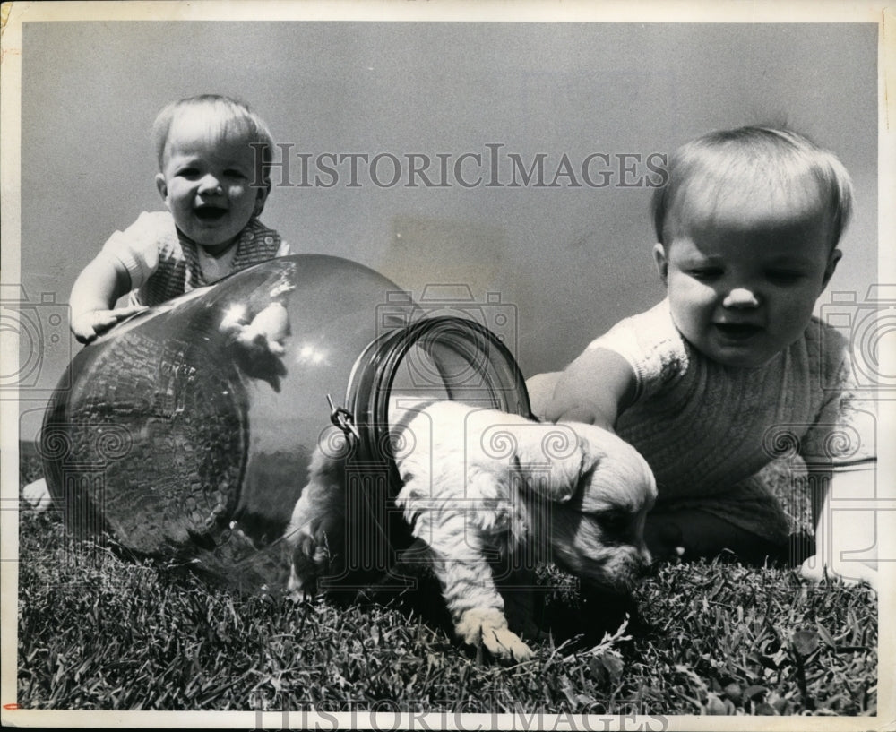 1972 Press Photo Whitey Leaves 6 Gallon Doghouse with Twins Doug & Tom Smith