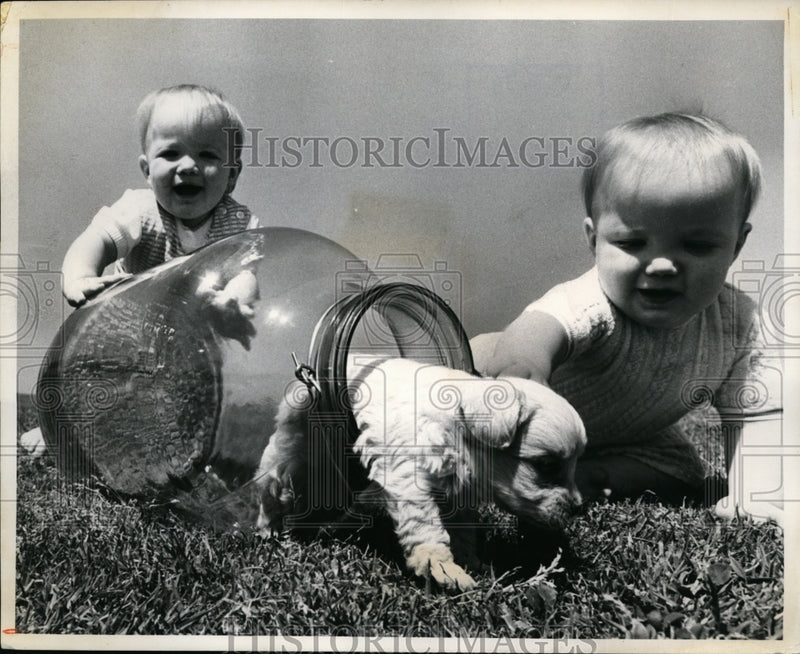 Load image into Gallery viewer, 1972 Press Photo Whitey Leaves 6 Gallon Doghouse with Twins Doug &amp; Tom Smith

