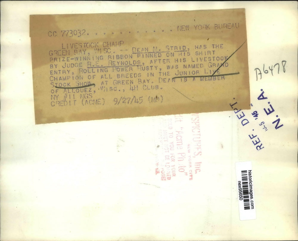 1945 Press Photo Dean M Strid Winner of Junior Live Stock Show & Judge Reynolds