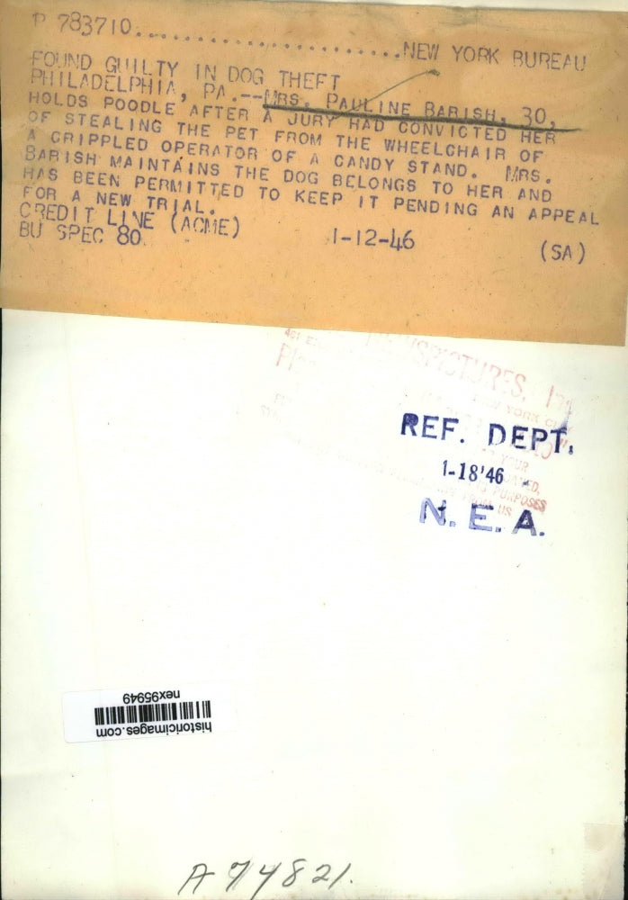 1946 Press Photo Mrs Pauline Barish & Poodle Jury Convicted Her of Stealing Dog