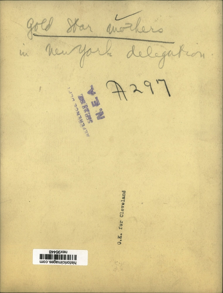 1927 Press Photo Gold Star Mothers in New York Delegation Parade