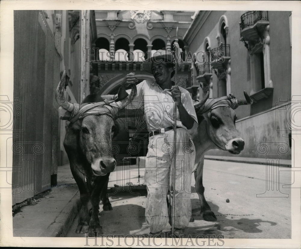 1948 Press Photo Jose & His Team of Oxen in Guatemala City - nex96605