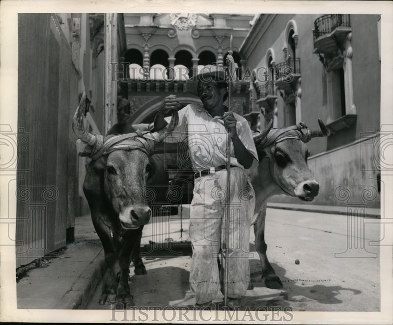 Load image into Gallery viewer, 1948 Press Photo Jose &amp; His Team of Oxen in Guatemala City - nex96605
