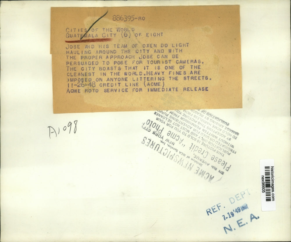 1948 Press Photo Jose & His Team of Oxen in Guatemala City - nex96605