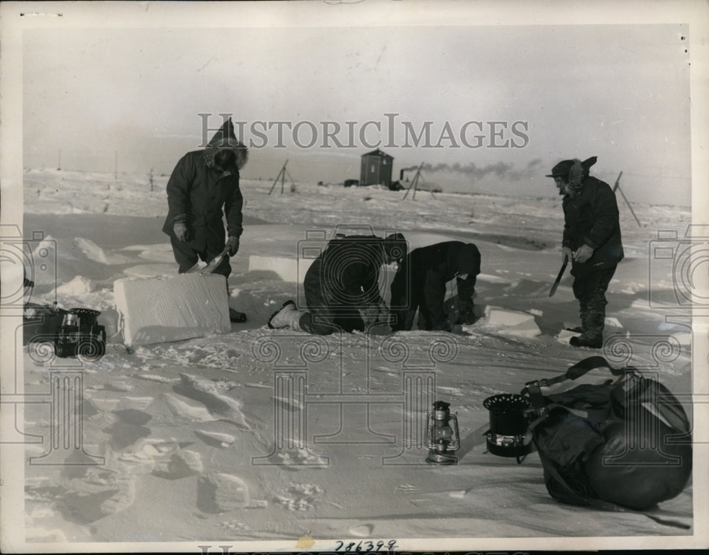 1946 Press Photo Musk Ox Expedition Bill Black and Crew Build Igloos Manitoba