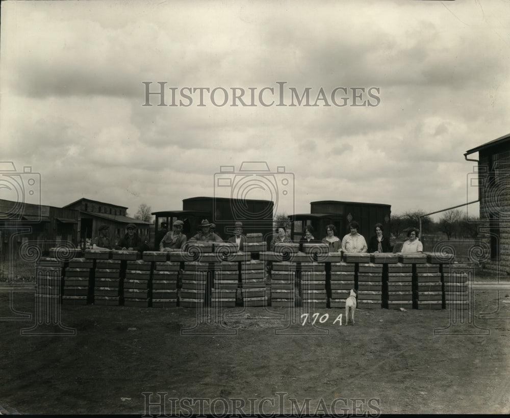 1928 Press Photo Record Shipment of Ohio Accredited Chicks 9450 One Order