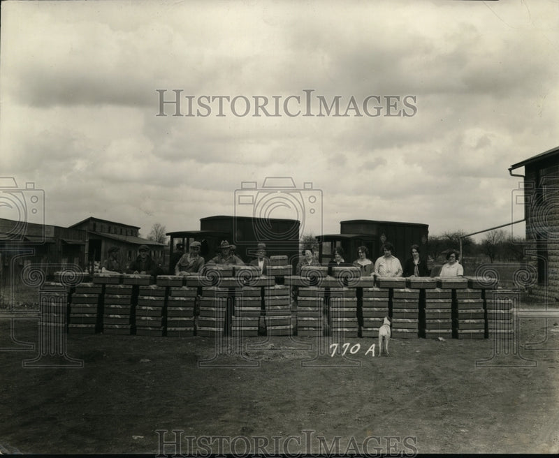 Load image into Gallery viewer, 1928 Press Photo Record Shipment of Ohio Accredited Chicks 9450 One Order
