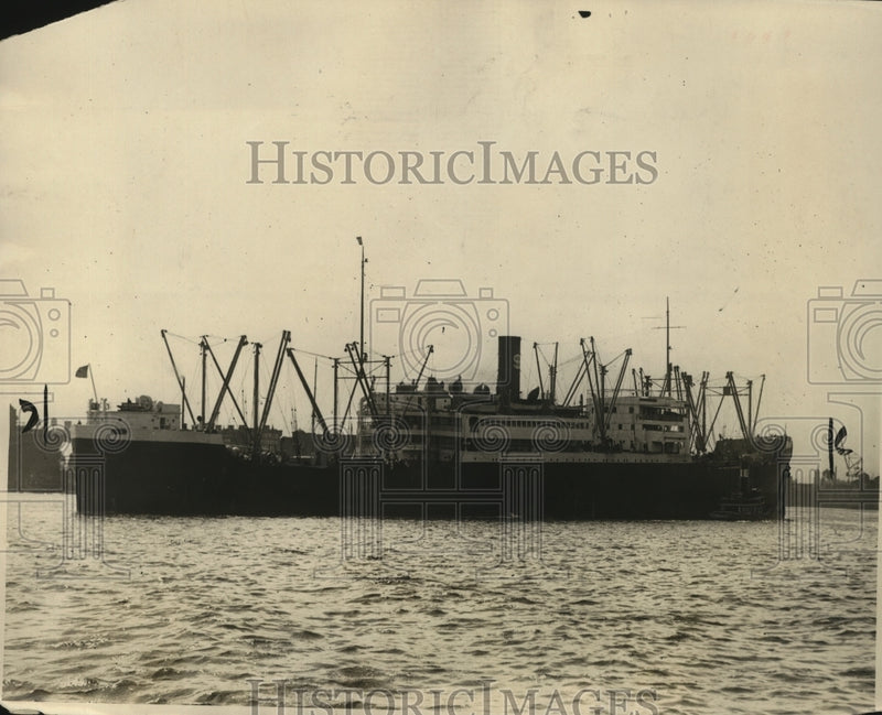Load image into Gallery viewer, 1929 Press Photo SS President Garfield of Dollar Line Aground in South Florida
