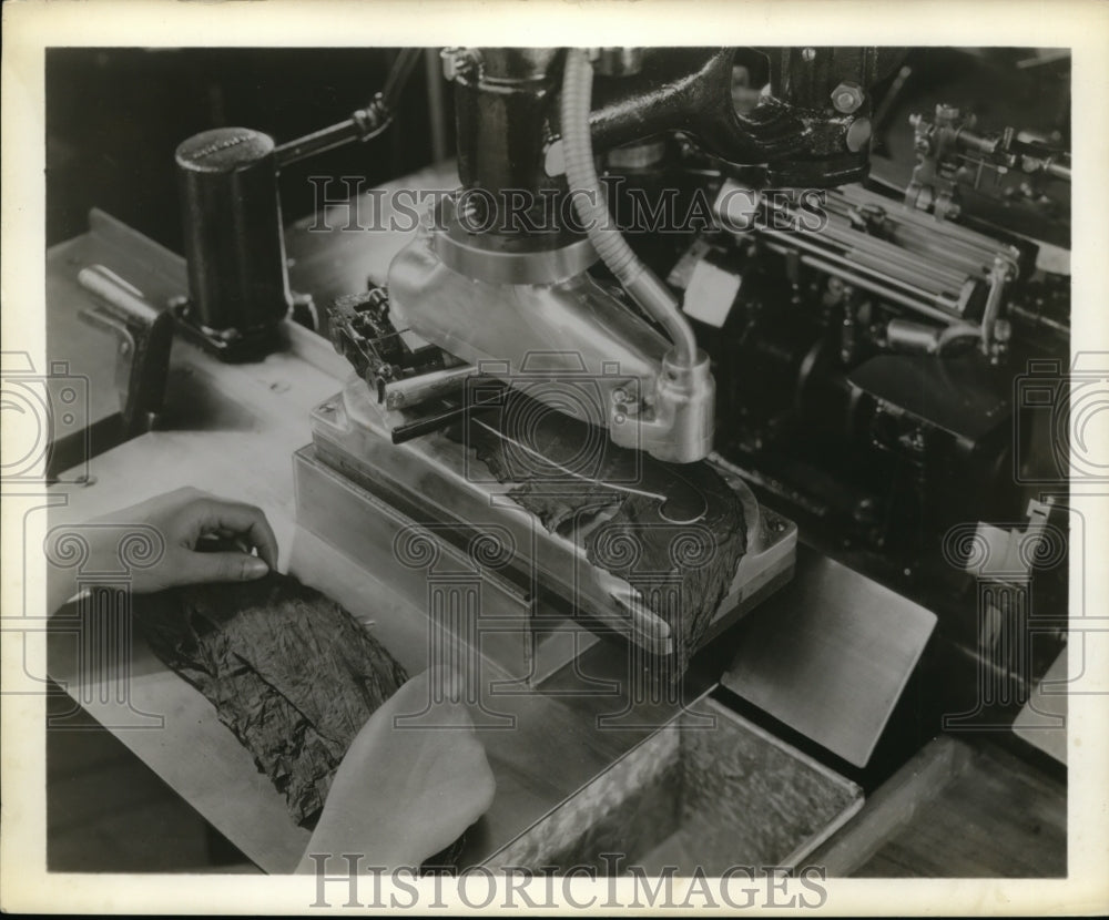 1951 Press Photo Machine Cuts Wrapper for The Cigar